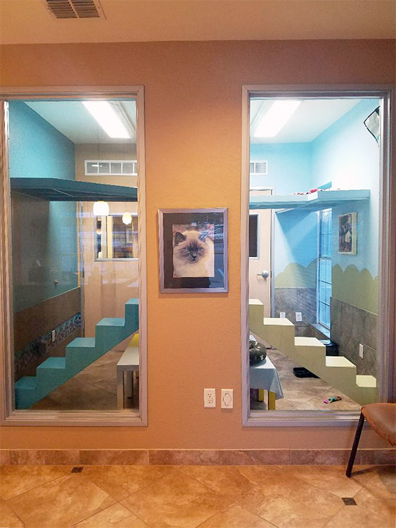 Luxury Boarding Rooms 1